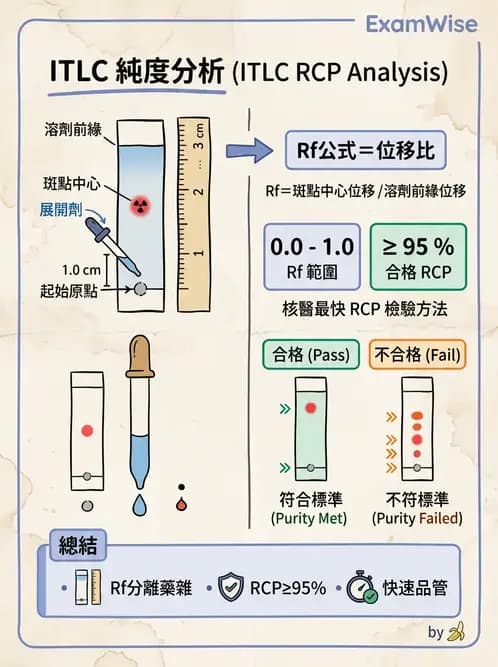 放射 - 肺肝膽與製劑通則 - AI 圖文解析預覽
