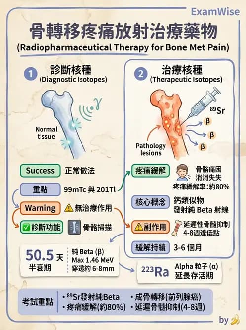 放射 - 腫瘤治療 - AI 圖文解析預覽