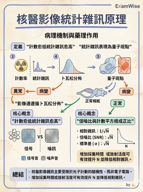放射 - 核醫計數統計學 - AI 圖文解析預覽