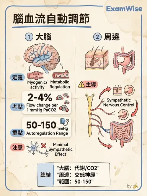 放射 - 心血管生理 - AI 圖文解析預覽