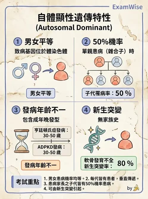 放射 - 遺傳疾病與小兒疾病 - AI 圖文解析預覽