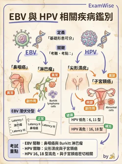 放射 - 惡性腫瘤 - AI 圖文解析預覽