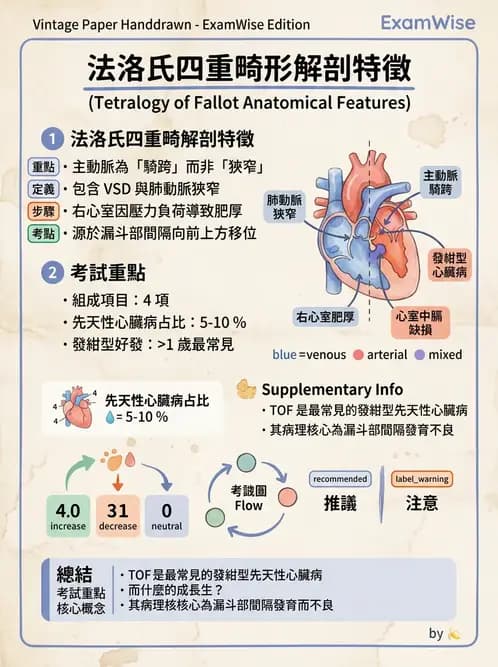 放射 - 心臟及血管疾病 - AI 圖文解析預覽