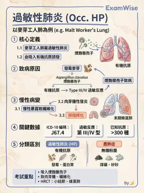放射 - 呼吸系統疾病 - AI 圖文解析預覽