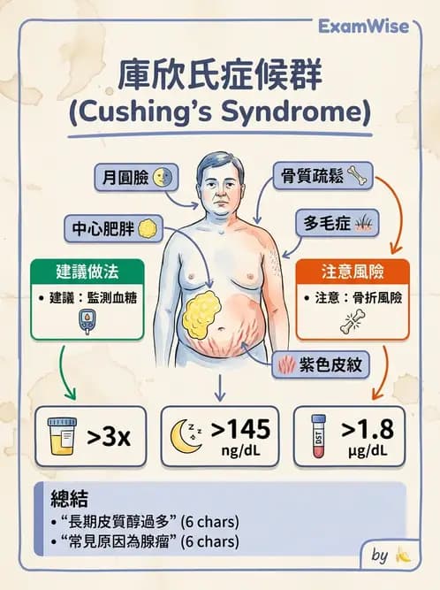 放射 - 內分泌系統疾病 - AI 圖文解析預覽