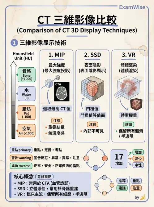 放射 - 透視與數位影像 - AI 圖文解析預覽