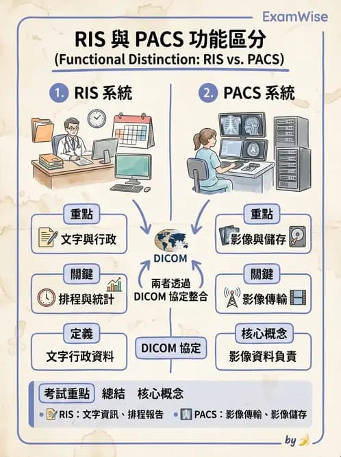 放射 - 透視與數位影像 - AI 圖文解析預覽