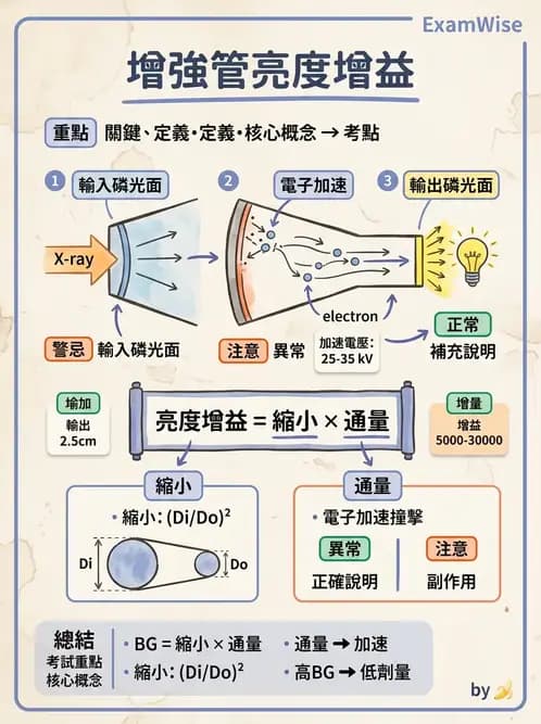 放射 - 透視與數位影像 - AI 圖文解析預覽