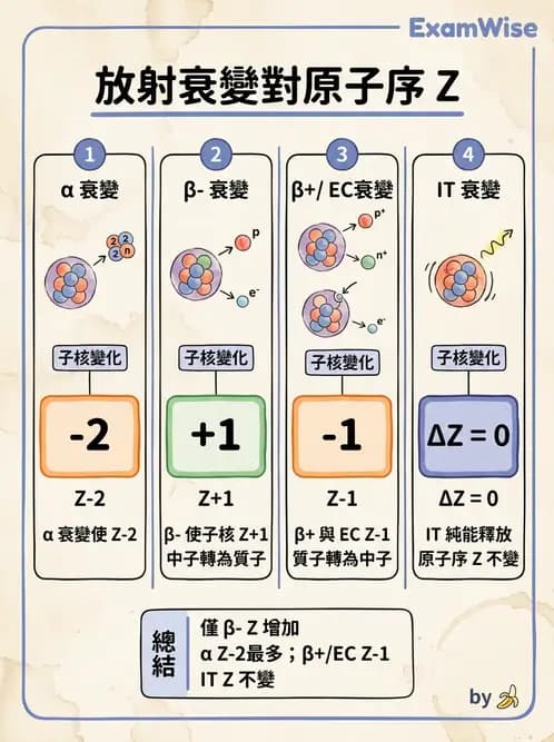 放射 - 放射性蛻變模式 - AI 圖文解析預覽