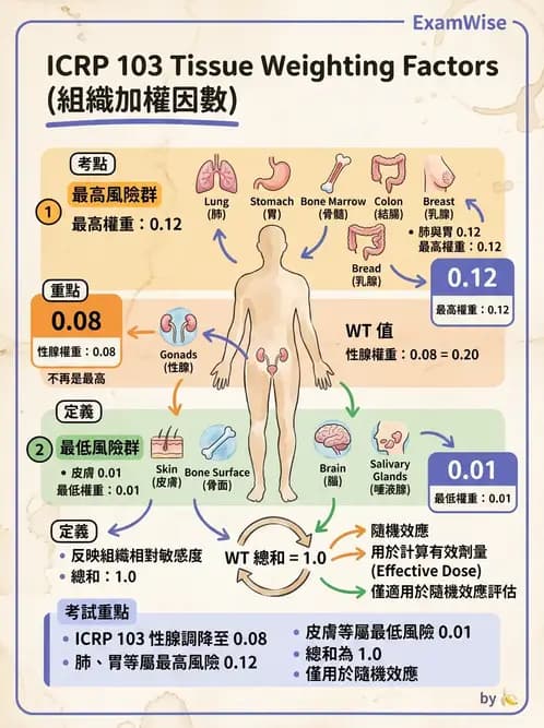 放射 - 輻射防護劑量量 - AI 圖文解析預覽