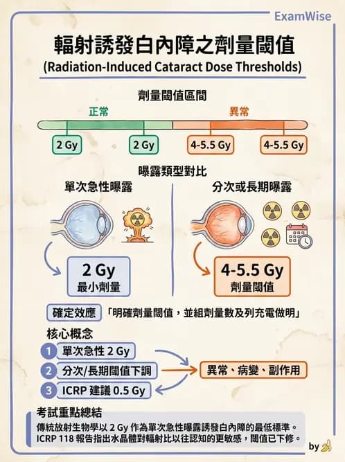 放射 - 全身性輻射效應 - AI 圖文解析預覽