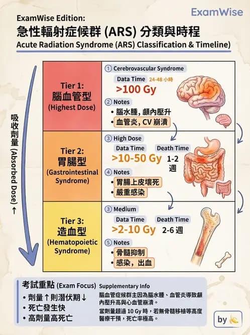 放射 - 全身性輻射效應 - AI 圖文解析預覽