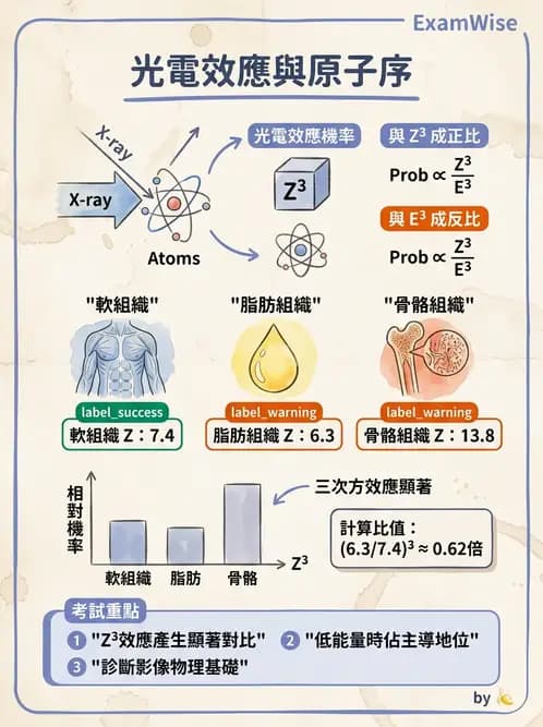 放射 - X光成像系統與影像品質 - AI 圖文解析預覽