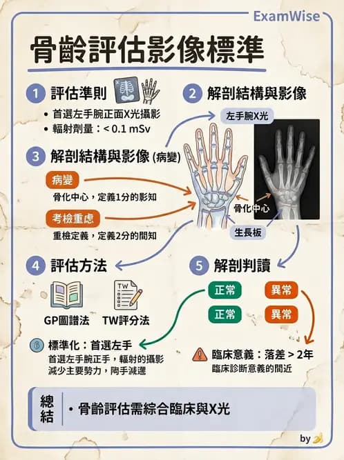 放射 - X光成像系統與影像品質 - AI 圖文解析預覽