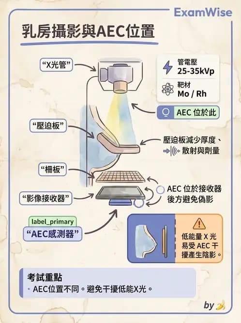 放射 - 乳房攝影裝置與影像品質 - AI 圖文解析預覽