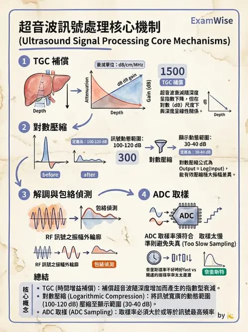 放射 - 超音波物理與系統原理 - AI 圖文解析預覽