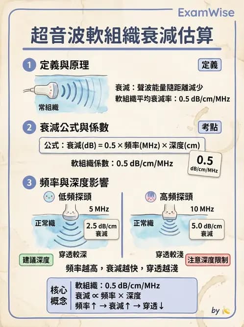 放射 - 超音波物理與系統原理 - AI 圖文解析預覽