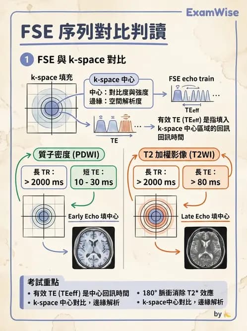 放射 - 梯度線圈與空間編碼 - AI 圖文解析預覽