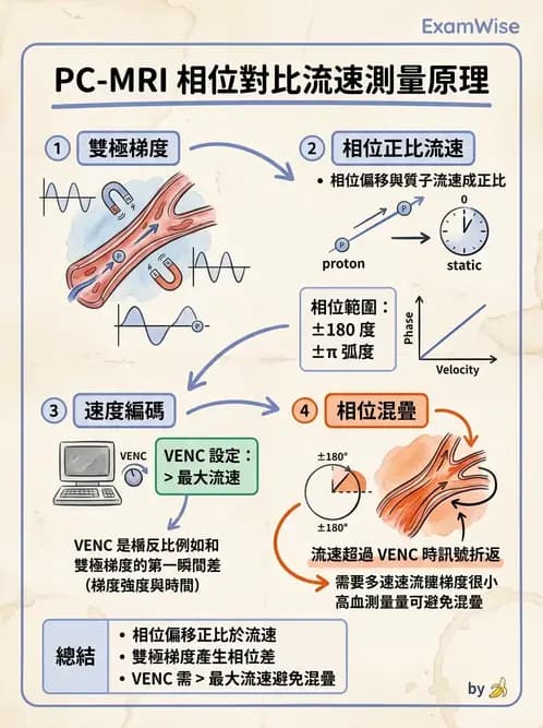 放射 - 梯度線圈與空間編碼 - AI 圖文解析預覽