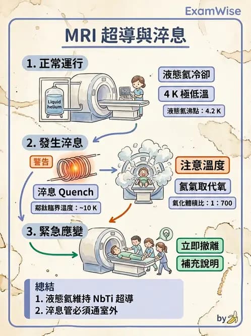 放射 - 主磁場、磁鐵類型與勻場 - AI 圖文解析預覽