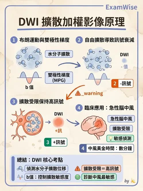 放射 - 梯度線圈與空間編碼 - AI 圖文解析預覽