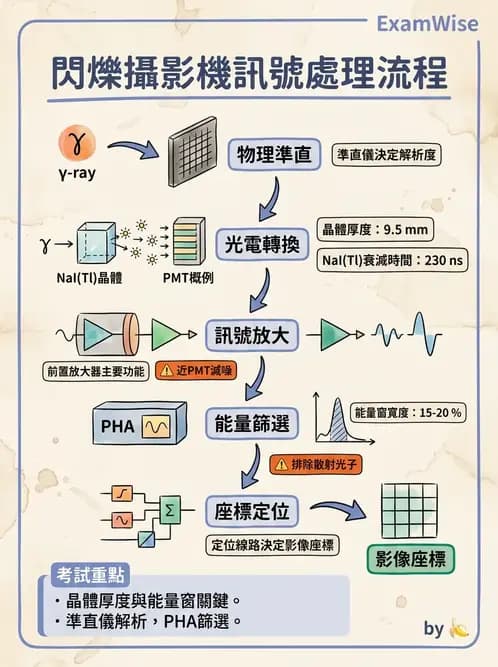 平面影像 - 影像儀器設備 - AI 圖文解析預覽