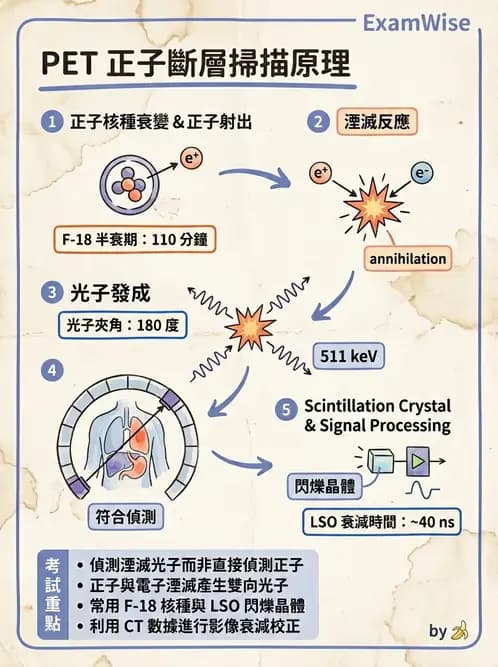 放射 - PET核種與儀器偵測原理 - AI 圖文解析預覽