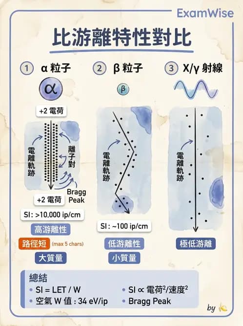 放射 - 非閃爍偵測器 - AI 圖文解析預覽