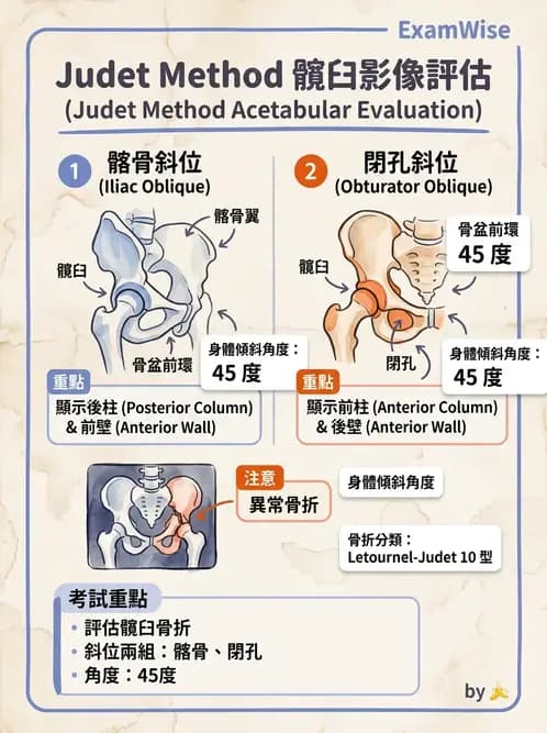 放射 - 軀幹四肢攝影技術 - AI 圖文解析預覽