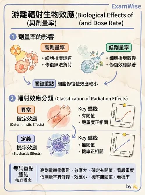 放射 - 輻射安全 - AI 圖文解析預覽