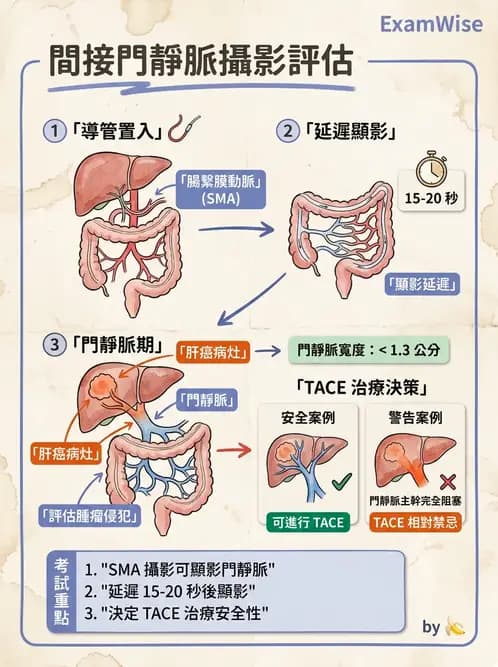 放射 - 血管攝影原理與解剖 - AI 圖文解析預覽