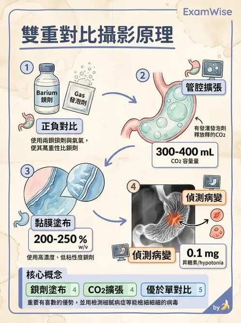 放射 - 消化道造影 - AI 圖文解析預覽