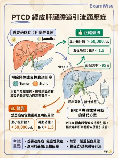 放射 - 導管技術與介入性治療 - AI 圖文解析預覽