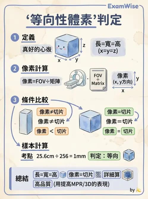 放射 - CT影像重建與品質 - AI 圖文解析預覽