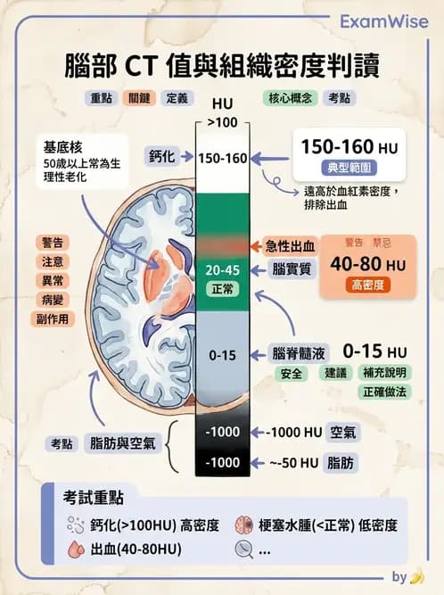 放射 - 頭頸部CT診斷 - AI 圖文解析預覽