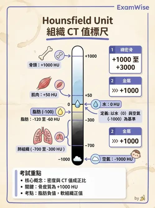 放射 - CT物理原理與掃描技術 - AI 圖文解析預覽