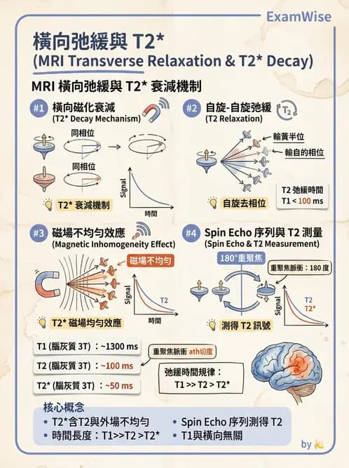 放射 - 磁振造影原理 - AI 圖文解析預覽