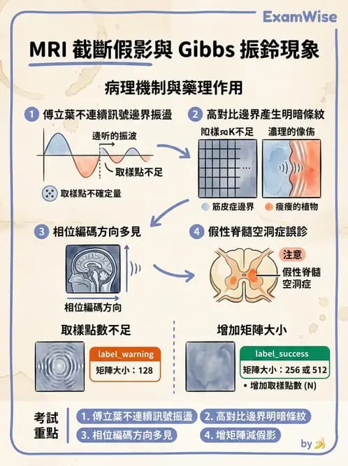 放射 - 磁振影像品質與參數 - AI 圖文解析預覽