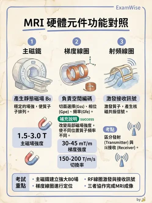 放射 - MRI系統硬體 - AI 圖文解析預覽
