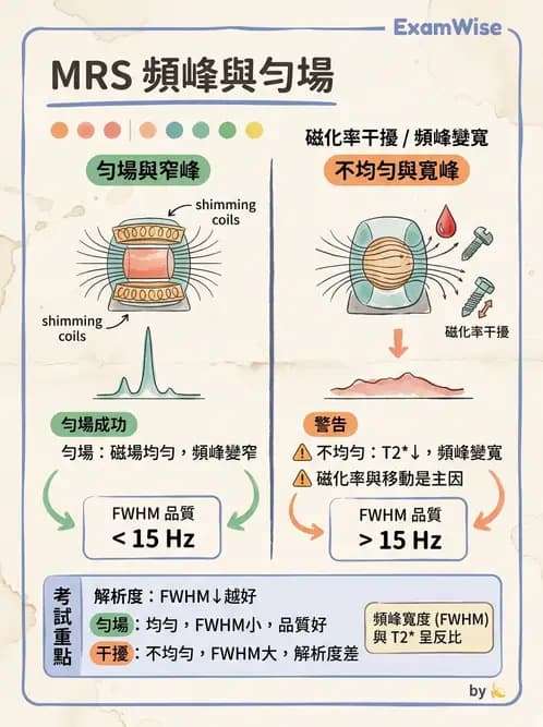 放射 - MR進階影像與臨床應用 - AI 圖文解析預覽