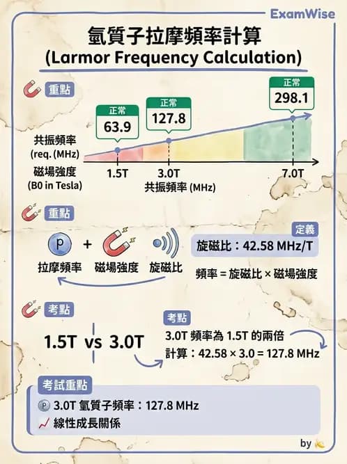放射 - 磁振造影原理 - AI 圖文解析預覽