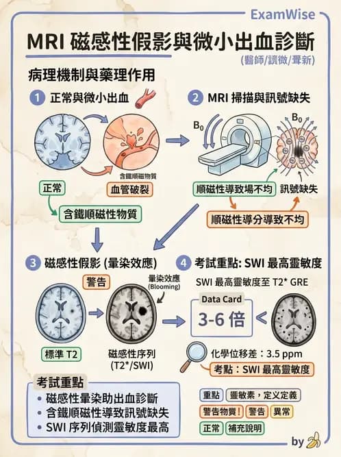 放射 - MR進階影像與臨床應用 - AI 圖文解析預覽