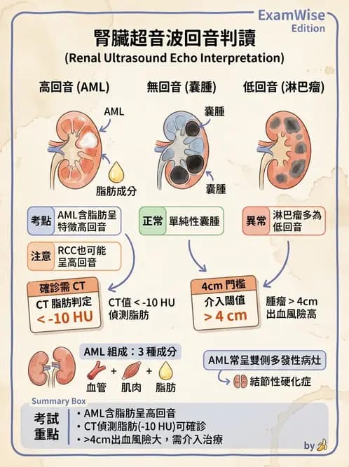 放射 - 腎臟血管與其他超音波 - AI 圖文解析預覽