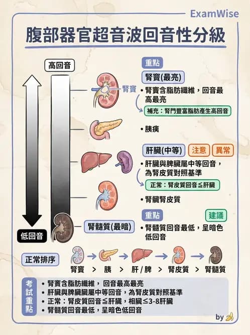 放射 - 超音波物理與技術 - AI 圖文解析預覽