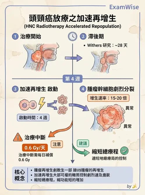 放射 - 細胞與腫瘤動力學 - AI 圖文解析預覽