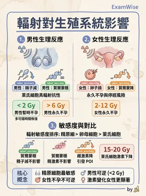放射 - 輻射致癌與遺傳效應 - AI 圖文解析預覽