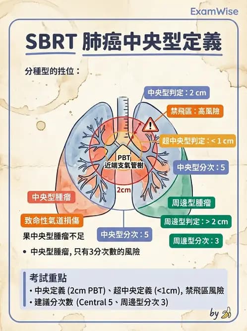 放射 - 立體定位軀體放射治療(SBRT) - AI 圖文解析預覽