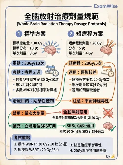 放射 - 疾病部位計畫與危急器官保護 - AI 圖文解析預覽