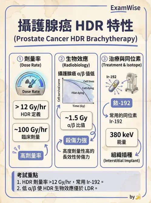 放射 - 插種近接治療 - AI 圖文解析預覽