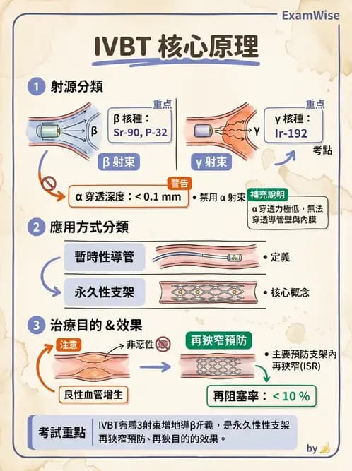 放射 - 血管內近接治療 - AI 圖文解析預覽